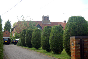 21-23 Tilsworth Road hiding behind its hedges